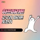 49-B | 49세 아줌마 첫 하프 마라톤 출전한 고구려마라톤 후기, 과연 완주는 했으려나?