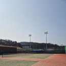 스카이테니스