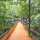 휘경2동주민센터 건너편 배봉산둘레길 입구 | 배봉산 황토길 가는 방법 동대문구 어싱 추천