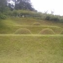 천지인장묘 이미지