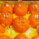 원탑농원 이미지