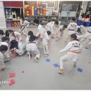 용인대 명성 태권도 이미지