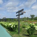 구리둘레길(3코스) 이미지