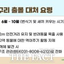 너구리