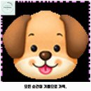 삐삐애견 이미지