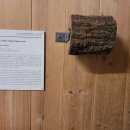 연미산고개 화장실 이미지