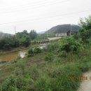 수원-0151 Daum카페