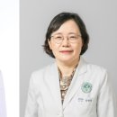 조산 의사신문