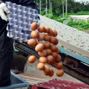 윤정희농장 이미지