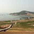 청산도 Daum카페