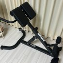 199 | 이노이 백익스텐션 IB-199 후기, 높이조절 로만체어로 집에서 허리강화운동 시작