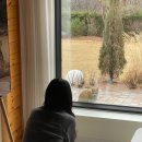 스테이율 이미지