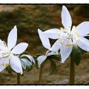 여일한의원 이미지