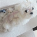 (주)협성로하스 이미지