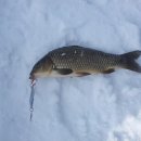 솔치팬션 이미지