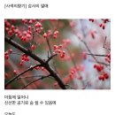 오늘의 小史 이미지