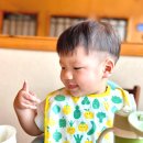 셔니대디 | 16개월 아기 베베쿡 9월 첫주문이벤트 : 영양밥 후기