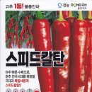 [공지] 2023년 새로나온 고추 종자 소개 합니다