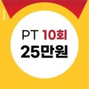 리온피티 이미지