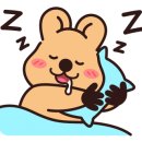 스테이 안김 이미지