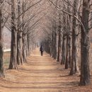 노을공원2 이미지