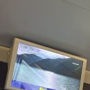 삼성생명 앞 노상 네이버블로그