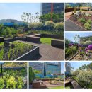 청룡동행정복지센터 이미지