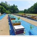 태봉농장 이미지