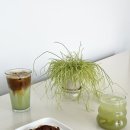 웅비투어 | 강원도 원주 카페 | 원주 혁신도시 신상 카페 휘낭시에 맛집 두쫀쿠 주차 내돈내산 ‘파르케’