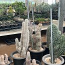 다현농장 이미지