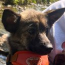 청수원식당 이미지