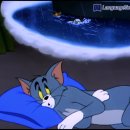 톰과제리 이미지