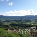 비무장지대 이미지