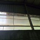 김포 자연 농장 이미지