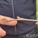 정철농장 농민신문