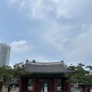 동묘대찬치과의원 | 동묘, 그냥 지하철역 이름이 아니에요!