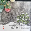 초승달캘리 이미지