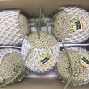 달구치킨 이미지