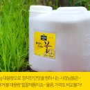 (주)금산고려인삼공사 이미지