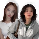 아이유헤어 | 2025 중단발 헤어스타일 트렌드, 아이유부터 나연까지 중단발병 유발하는 셀럽 모음!