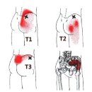 짐라운지 이미지