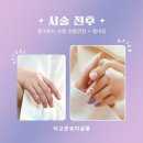 더고운 살롱