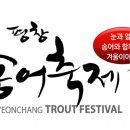 평창송어축제 이미지