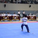 큰뿌리태권도 이미지