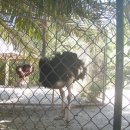 (주)박상 이미지