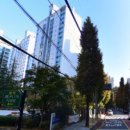 월영동212 이미지