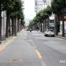 가로수길 이미지