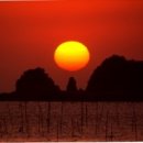 정동진2리 이미지