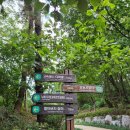 동광단지 이미지