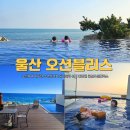 110 | 울산오션블리스 풀빌라 수영장 조식 바베큐 110호 후기